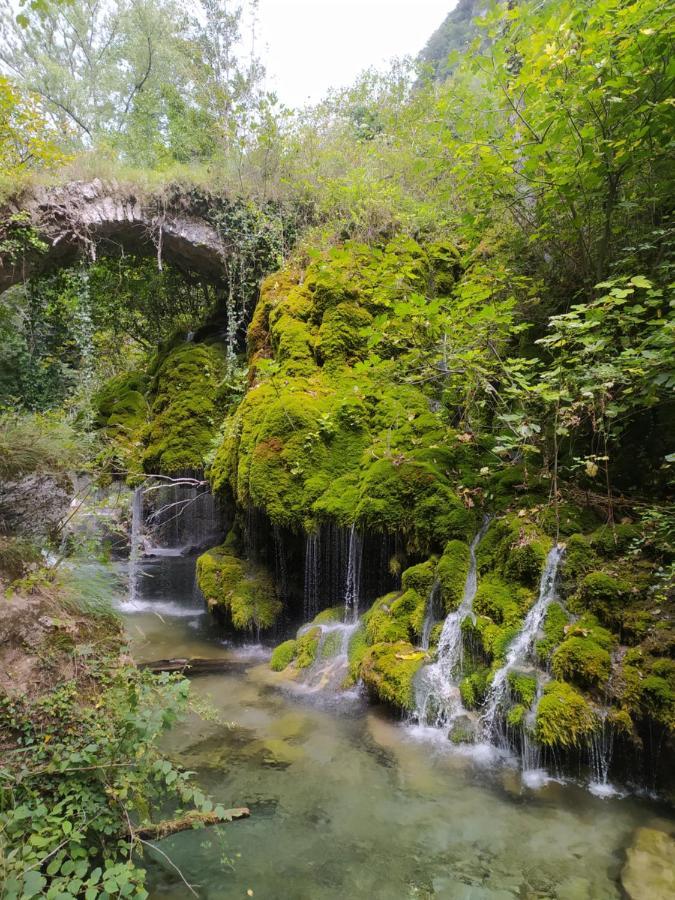 Tenuta Vallina - Golfo Di Policastro Tortorella Exteriér fotografie